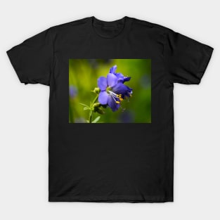 Blue flower T-Shirt